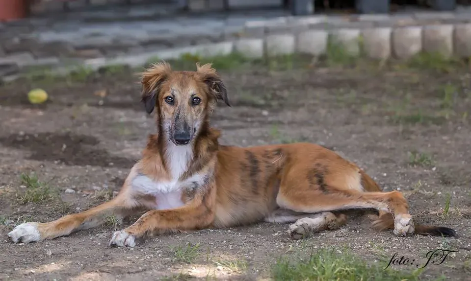 20264534 10213548518048859 6442342204933189540 n