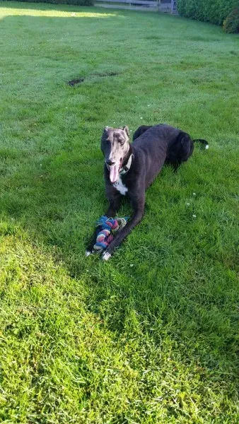 20273229 10213664656040344 1000864292 o