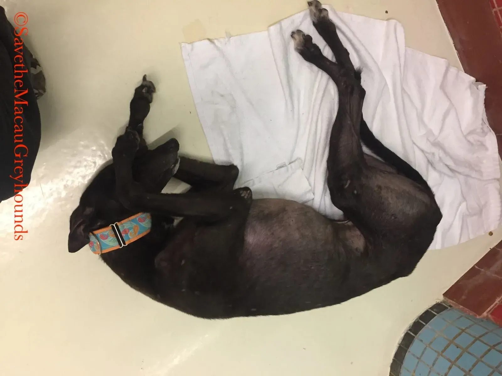 2030 Jaoquim 3 e1531221487668