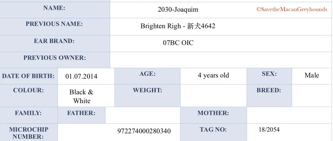 2030 Joaquims Information