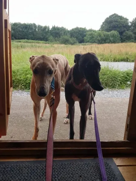 20314828 10212220428679472 1008513509 o