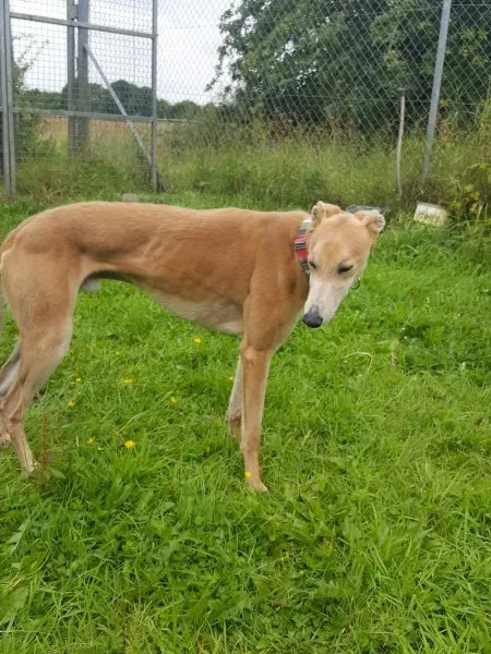 20316842 10212220445639896 1633417709 o