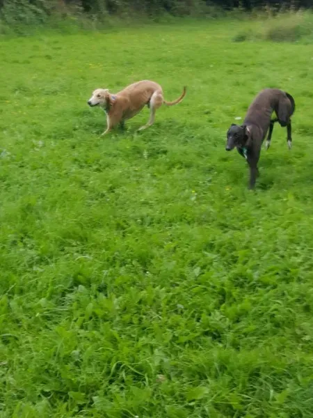 20316941 10212220442639821 2072977671 o