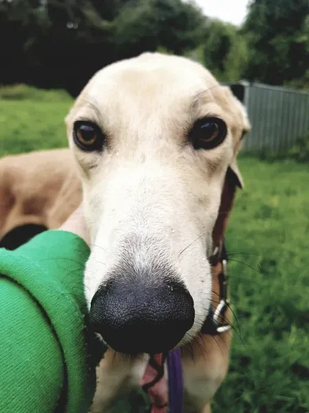 20317127 10212220444239861 687701141 o