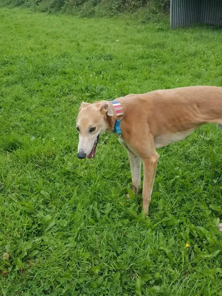 20317152 10212220442599820 16910186 o