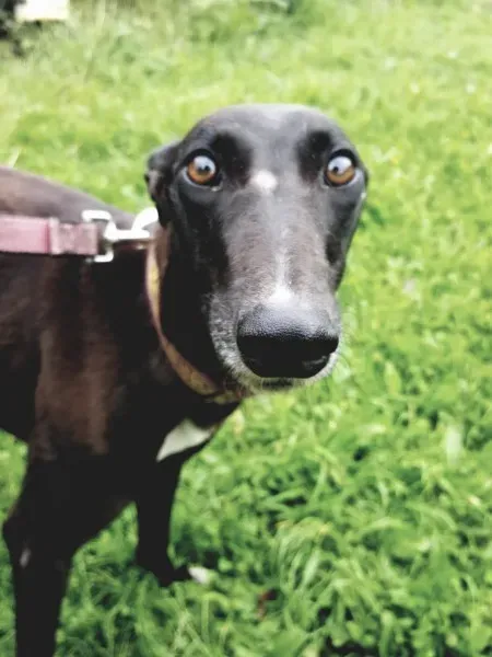 20317178 10212220444279862 1625057018 o