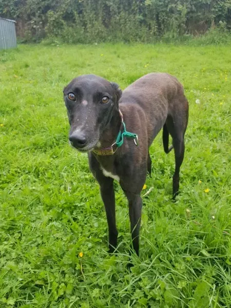 20348207 10212220445239886 289604735 o