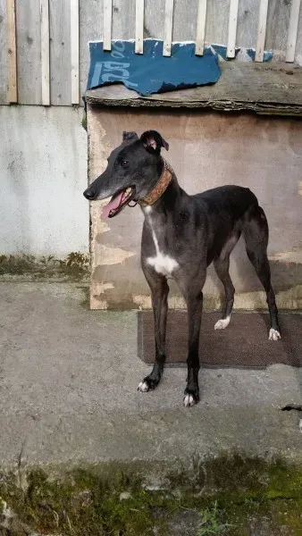 20353714 10213710047055091 177302168 o