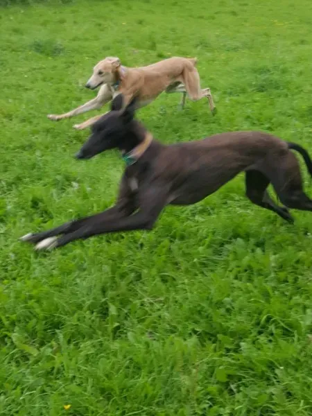 20354035 10212220444119858 763272981 o