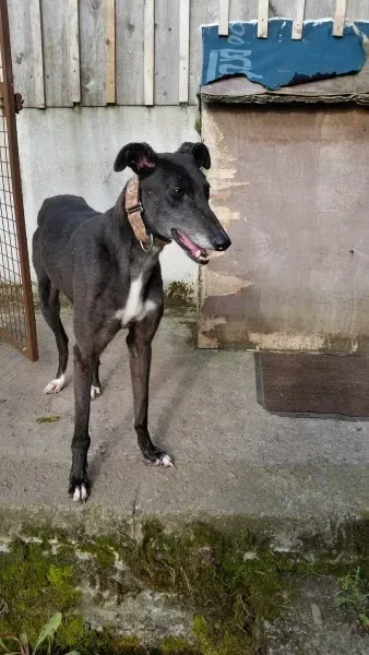 20354145 10213710046695082 811471870 o