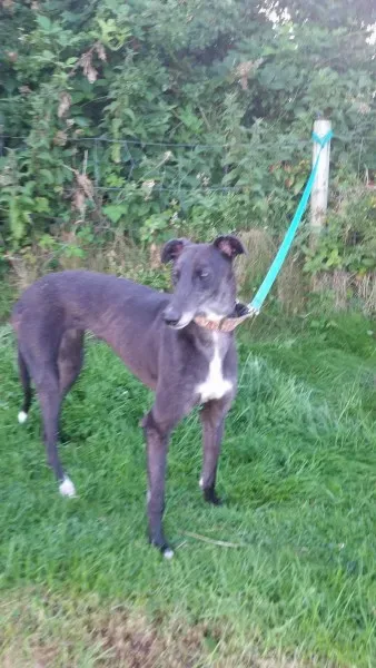 20354145 10213710050655181 662237686 o