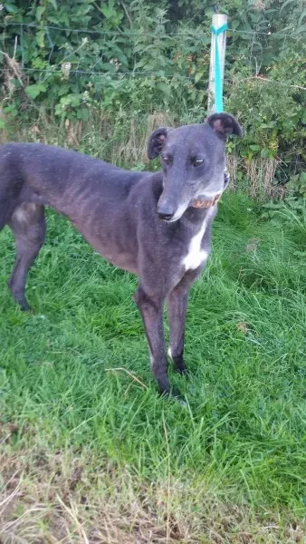 20354145 10213710052775234 608709243 o