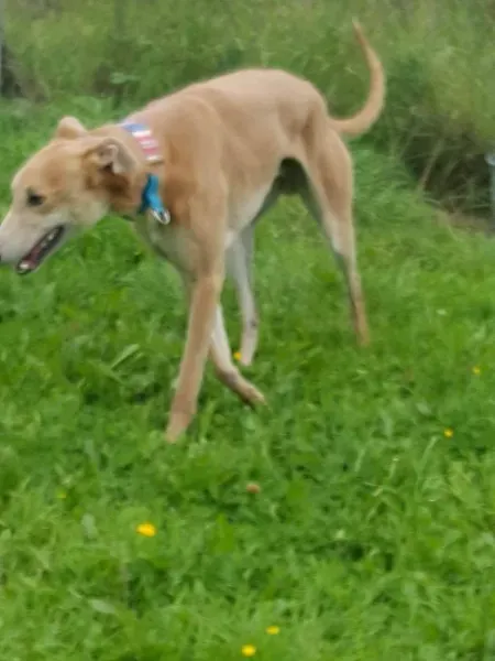 20394621 10212220444839876 1202397303 o