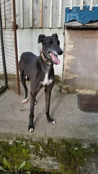 20394741 10213710046415075 376989122 o