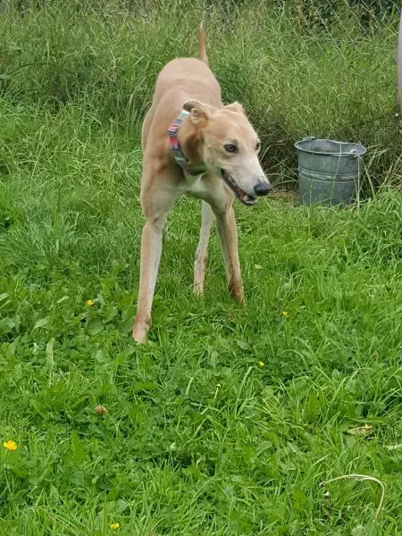 20394876 10212220444559869 32731483 o