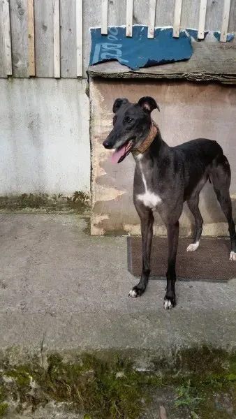 20394904 10213710047495102 538755298 o