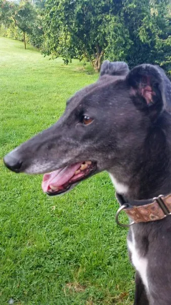 20399217 10213710048775134 979889178 o