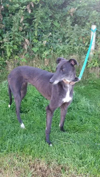 20399472 10213710049095142 1319936695 o