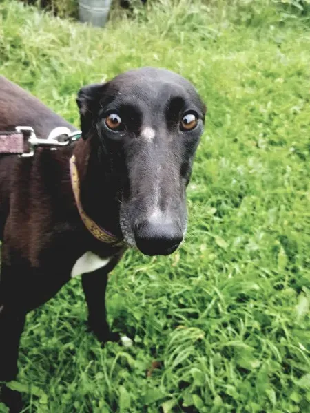 20399494 10212220444359864 156163576 o