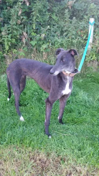 20424565 10213710048855136 870436636 o