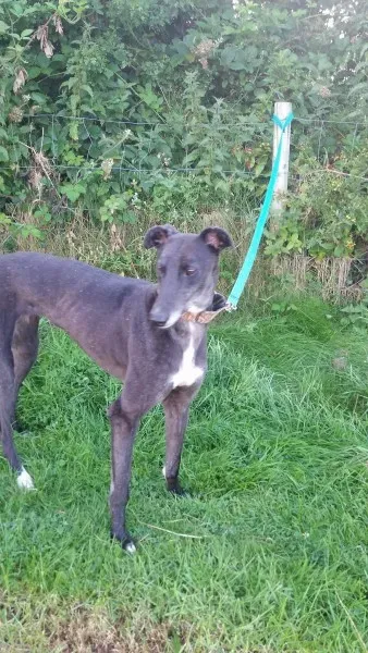 20424578 10213710049455151 2090226249 o