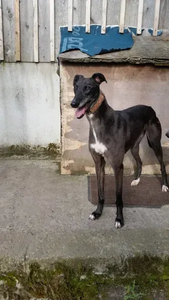 20424627 10213710047375099 254870631 o