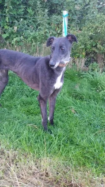 20424808 10213710052015215 49496522 o