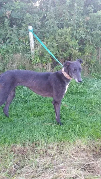 20424860 10213710051415200 598011245 o