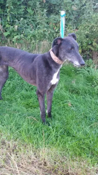 20424926 10213710051655206 1221982985 o