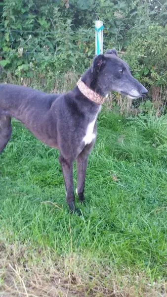 20446259 10213710051015190 1763868526 o