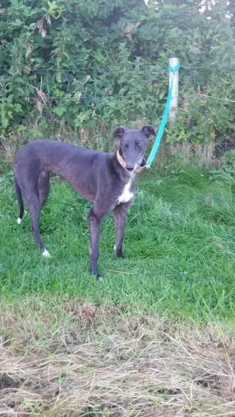 20447066 10213710050375174 128875314 o