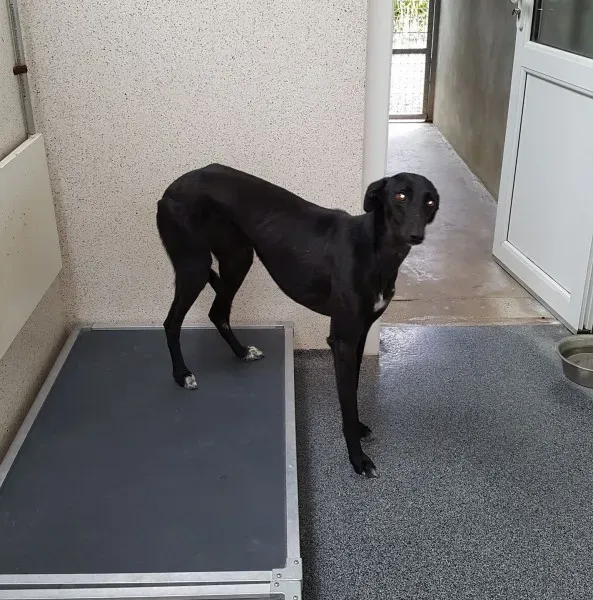 20451688 1781071335243891 7822152262865707551 o 1