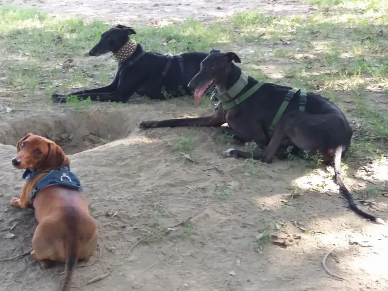 20507138 10213551895862024 2709434093620496319 o