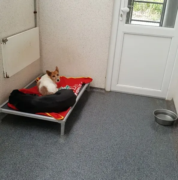 20626957 1792599254091099 7087531136268044231 o