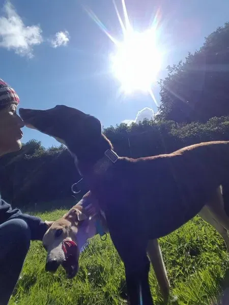 20638741 10212336740747201 3009776988108689517 n