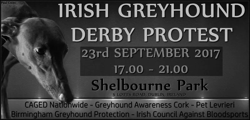 20728866 1413242422117222 1259063671499203486 o