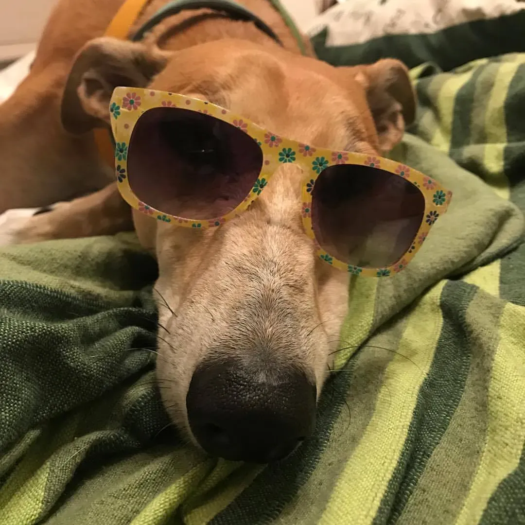 20745939 10212246245490232 1472405694186748040 o