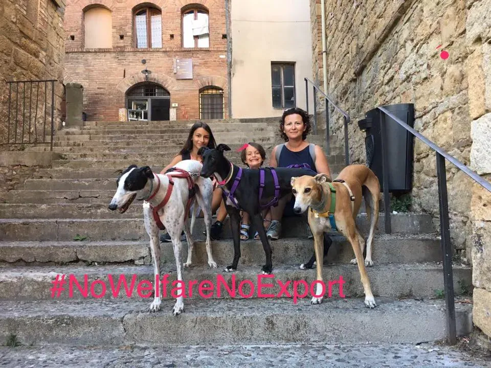 20768117 10212238171368384 7078825763151927039 n