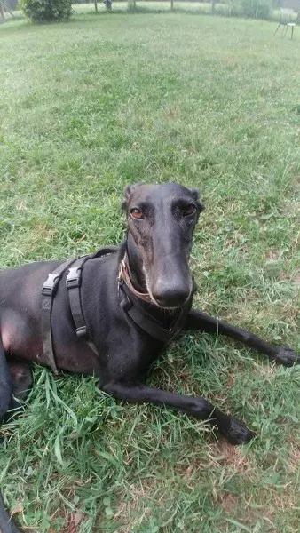 20800204 10213684137007970 8911075956008847591 n