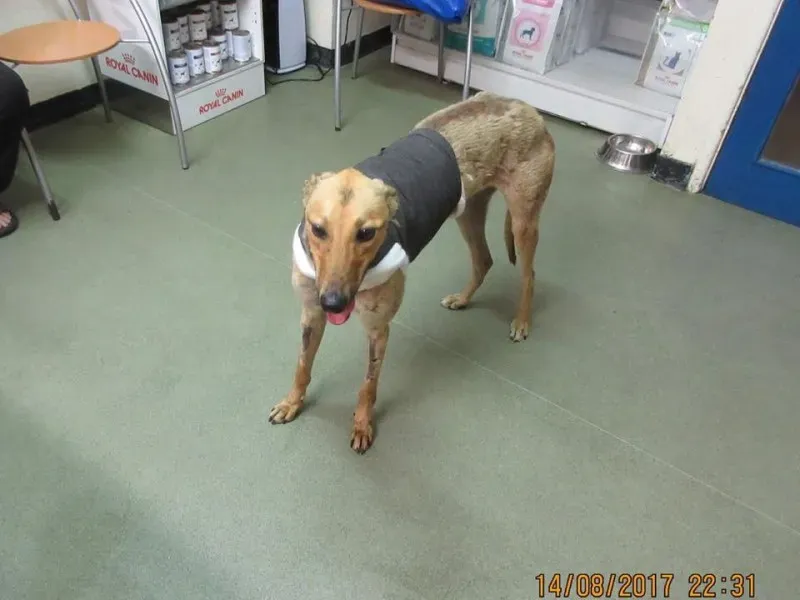 20881881 1799929026691455 991853379692418087 n