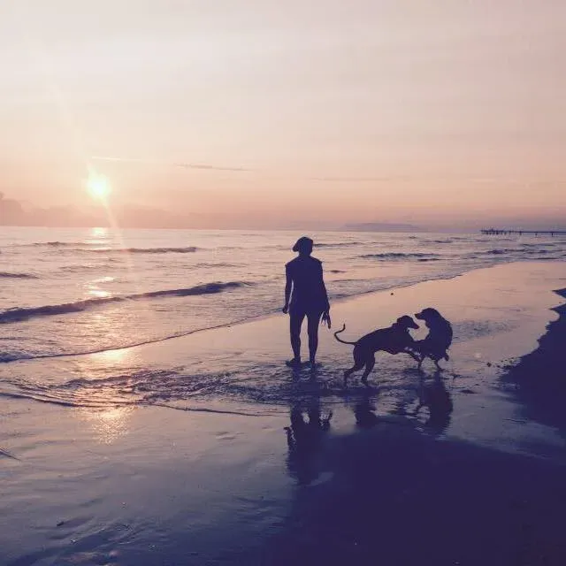 20882322 10155070513138246 478837401993462078 n