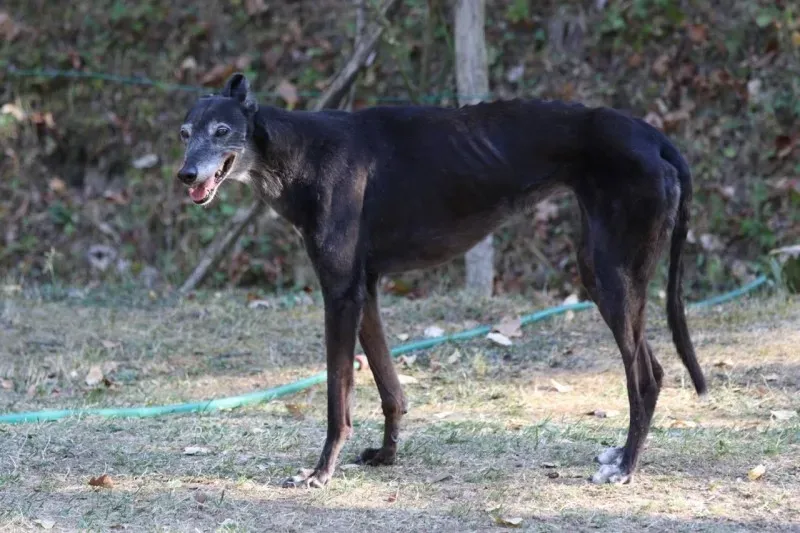 20901759 1488973301194268 8812358523322302075 o