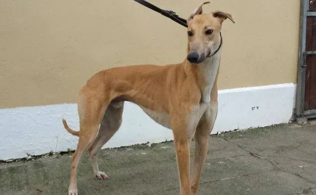 20915323 1421670011274463 3344941477090066973 n