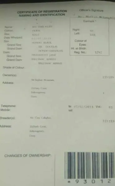 20915509 1421670061274458 5196575338669045955 n