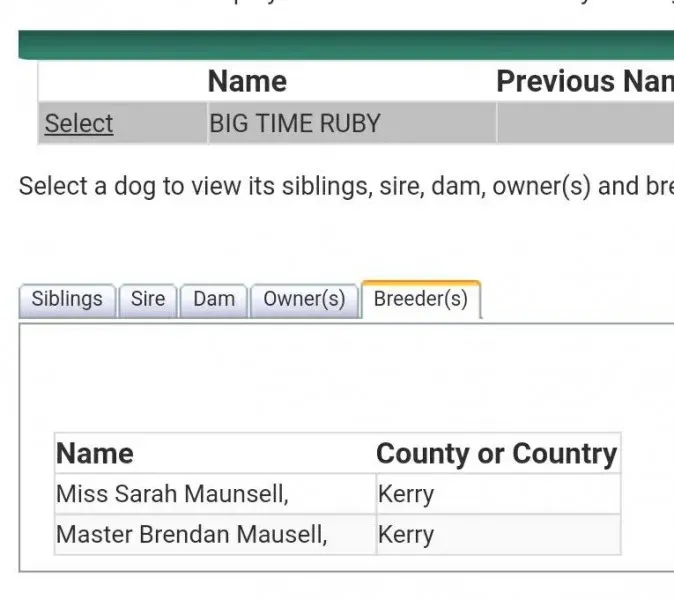 20915523 1421670157941115 6695667478097531324 n