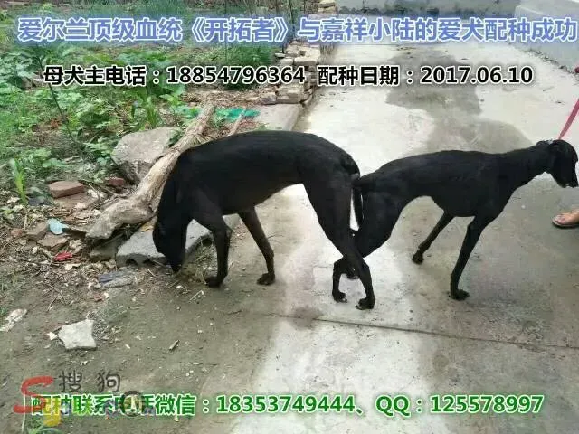 20952923 1424102151031249 1643763656026932965 n