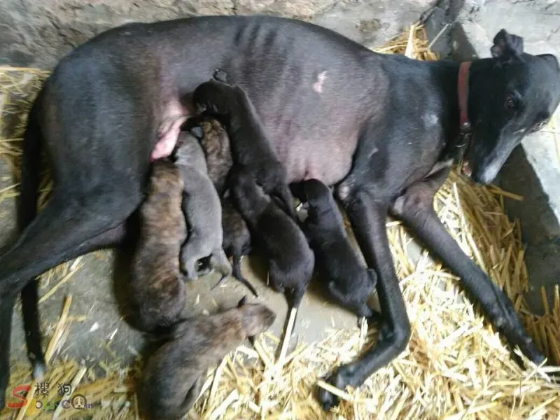 20953513 1424102191031245 2970814445490607657 n