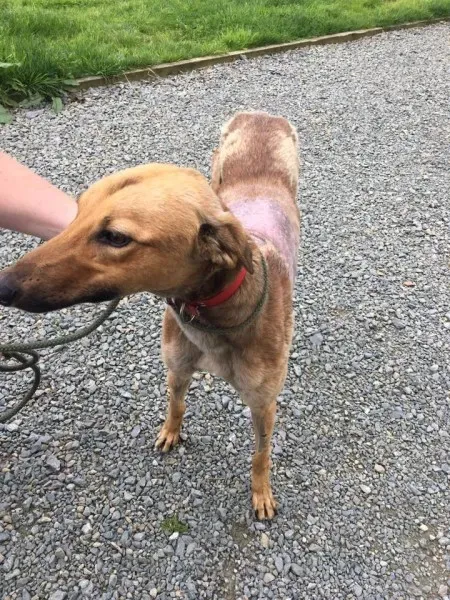 20994308 1812957762055248 7008200359499672096 n