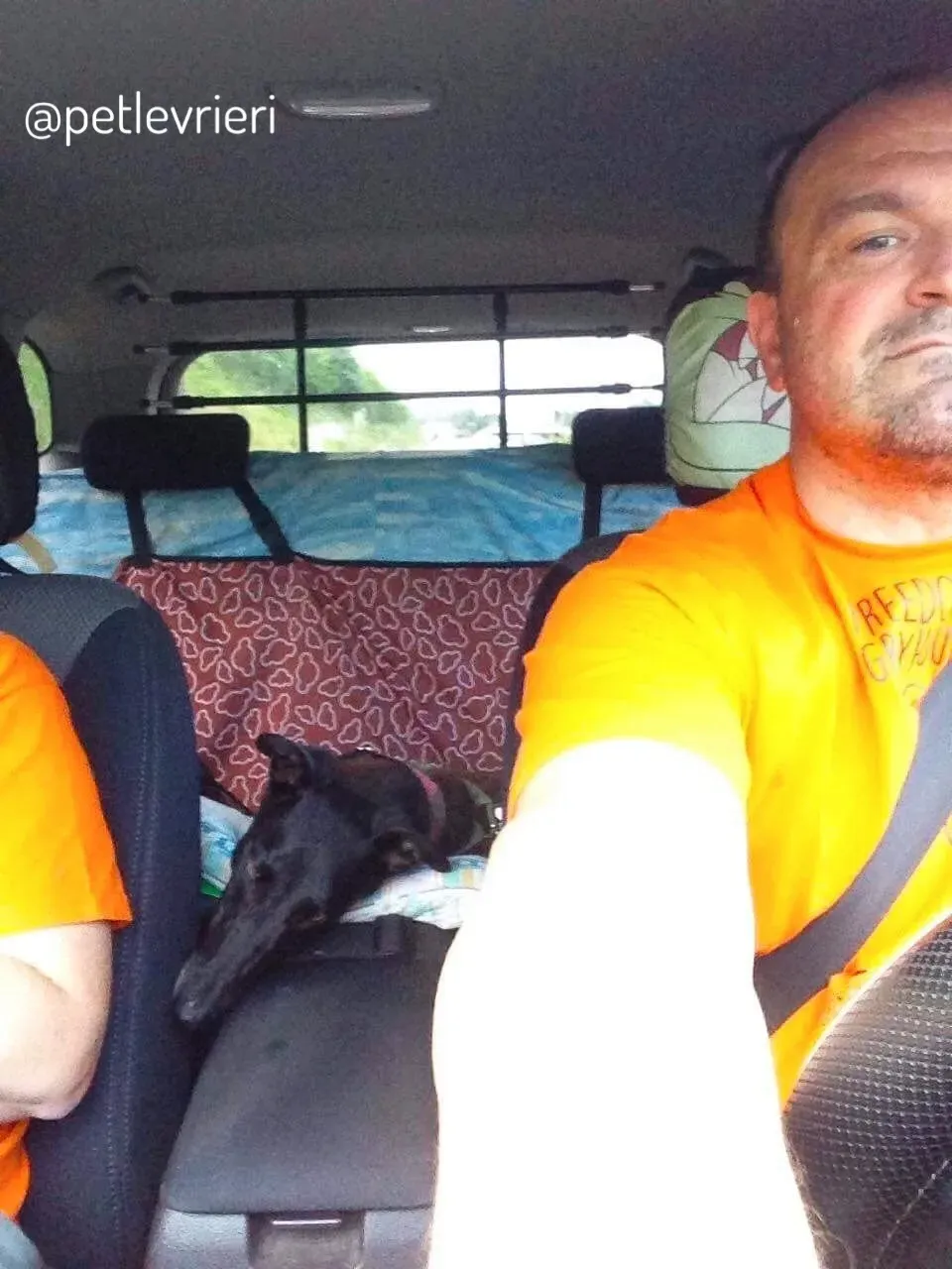 20  Rosie petlevrieri mercatodellacarne cina macao onlus