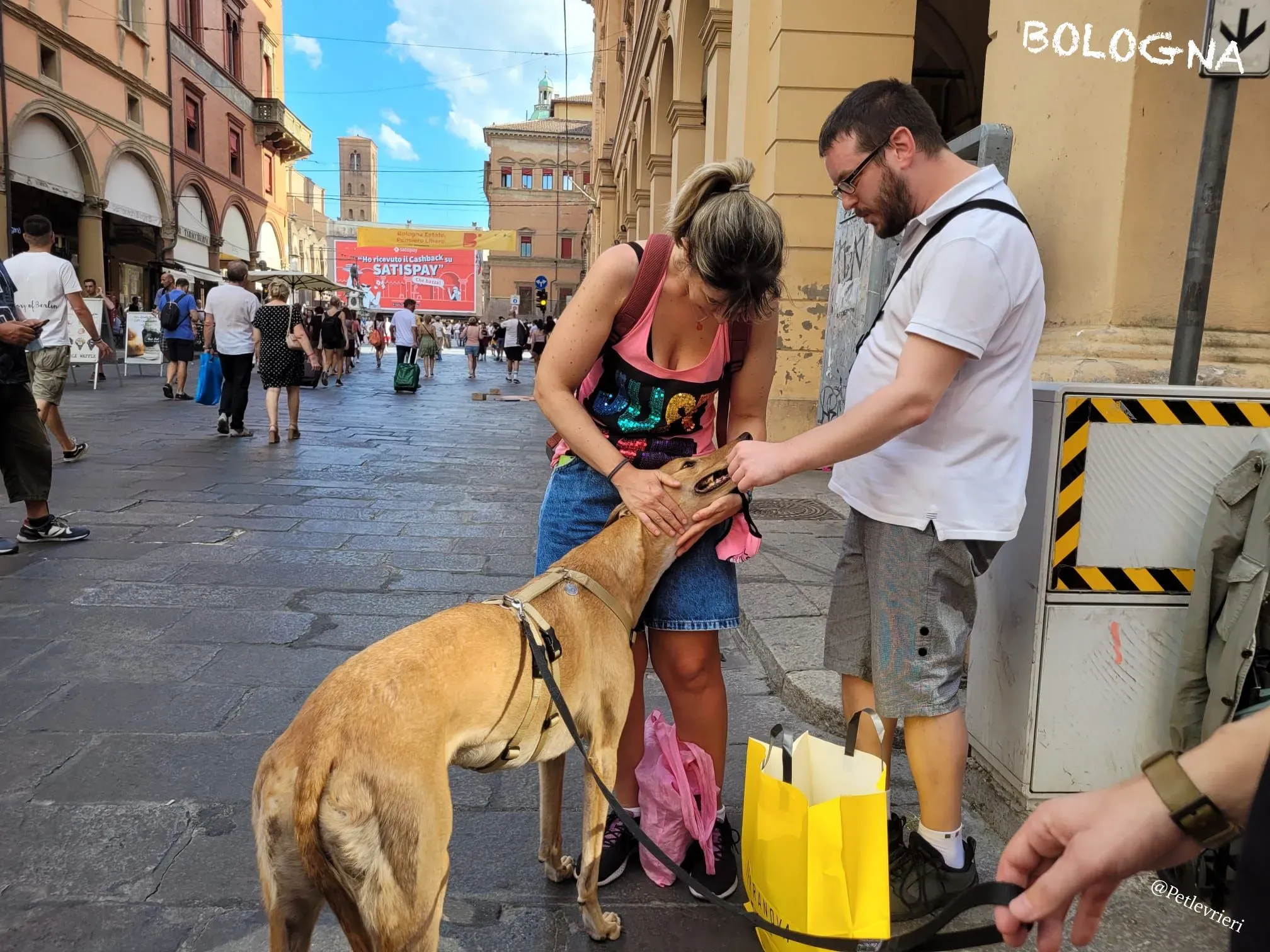 20fd430e f2bb 4859 9393 6a169e86f724 risultato